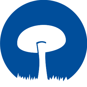 fungo.png